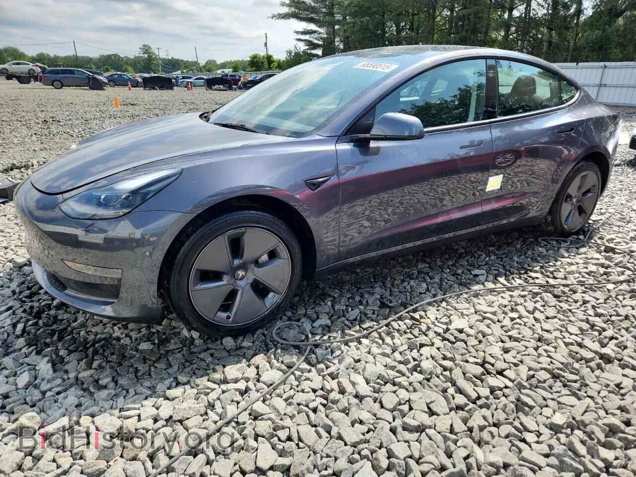 Фотография 5YJ3E1EA6PF665020 - TESLA MODEL 3 2023