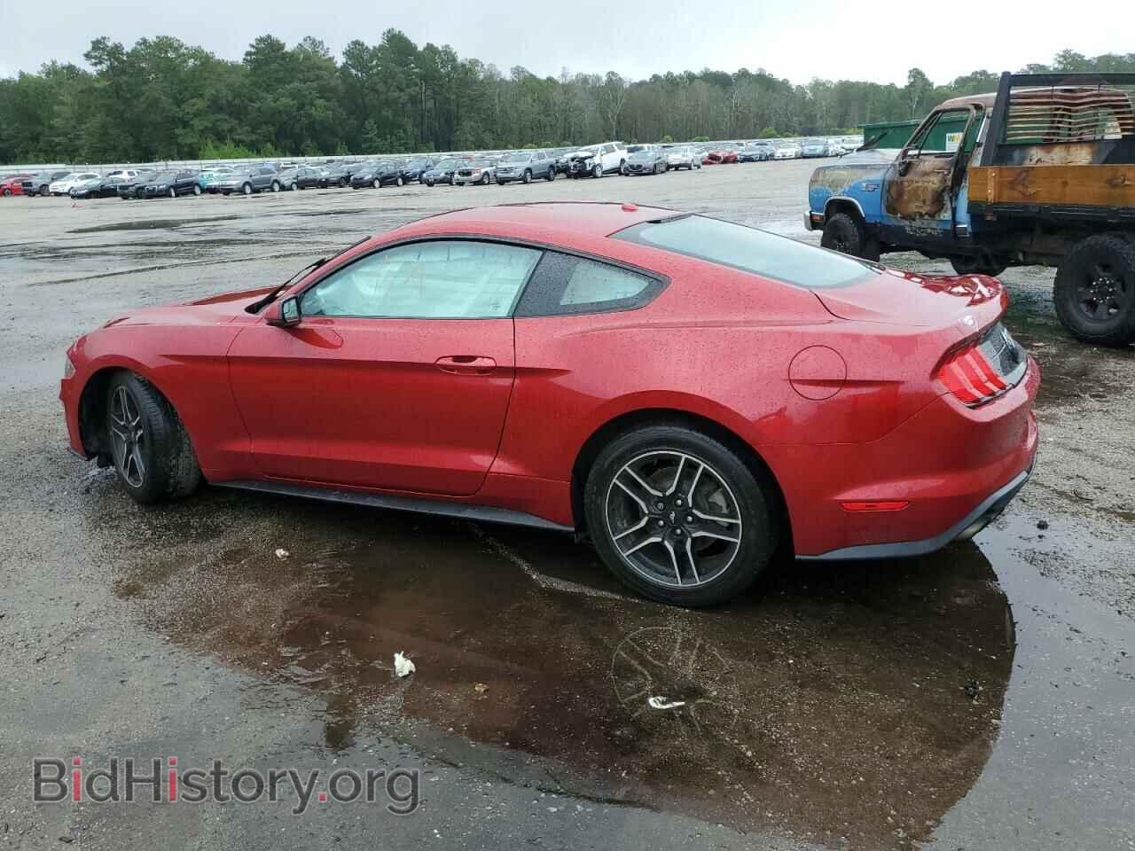 2020 FORD ALL Models - VIN: 1FA6P8TH5L5127619 - Фото 2