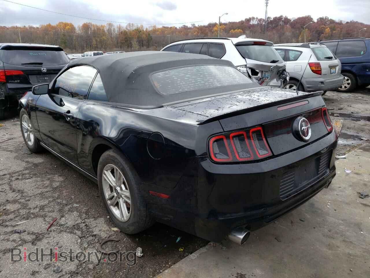 2013 FORD MUSTANG - VIN: 1ZVBP8EM9D5211427 - Фото 3