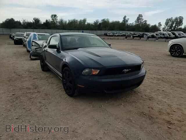 2012 FORD MUSTANG - VIN: 1ZVBP8AM3C5206096 - Photo 14