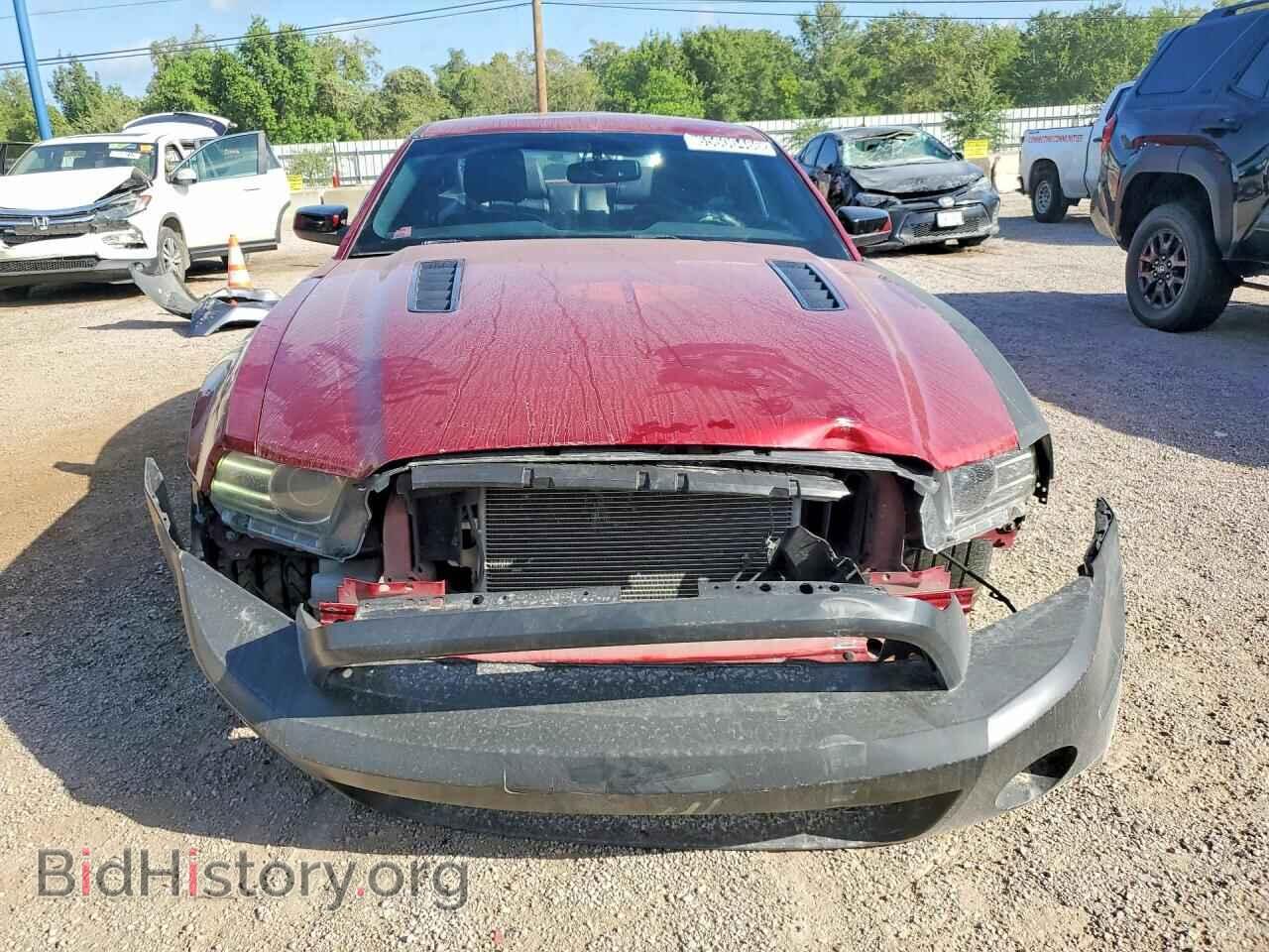 2014 FORD MUSTANG - VIN: 1ZVBP8CF3E5309391 - Фото 5