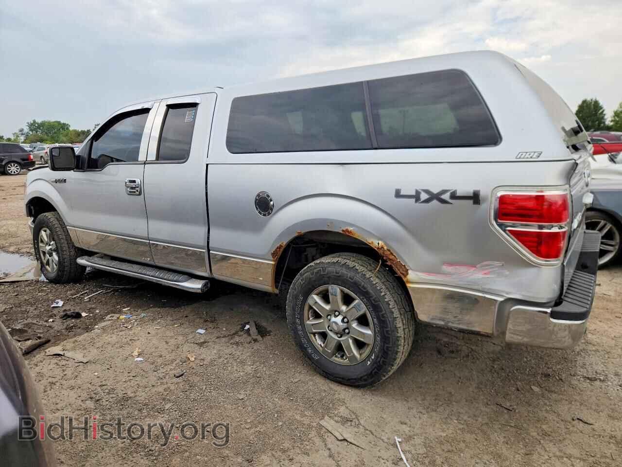 2013 FORD F150 - VIN: 1FTFX1EFXDFA28755 - Фото 2
