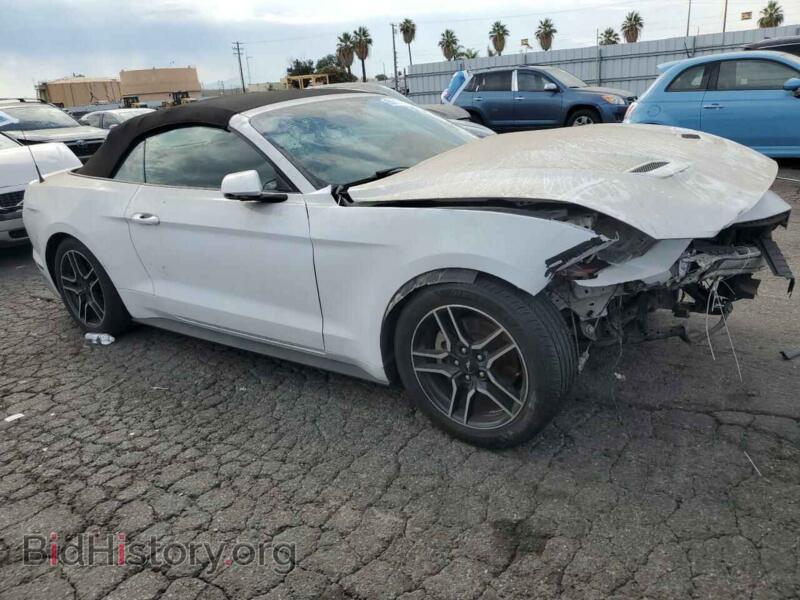 2020 Ford ALL MODELS (VIN 1FATP8UH9L5138737) — фото 4 из 13