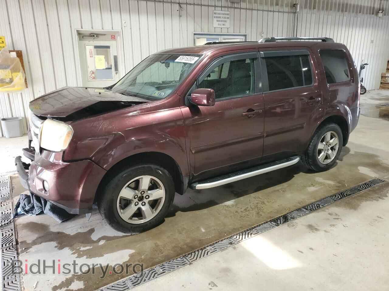 Фотография 5FNYF38499B008901 - HONDA PILOT 2009