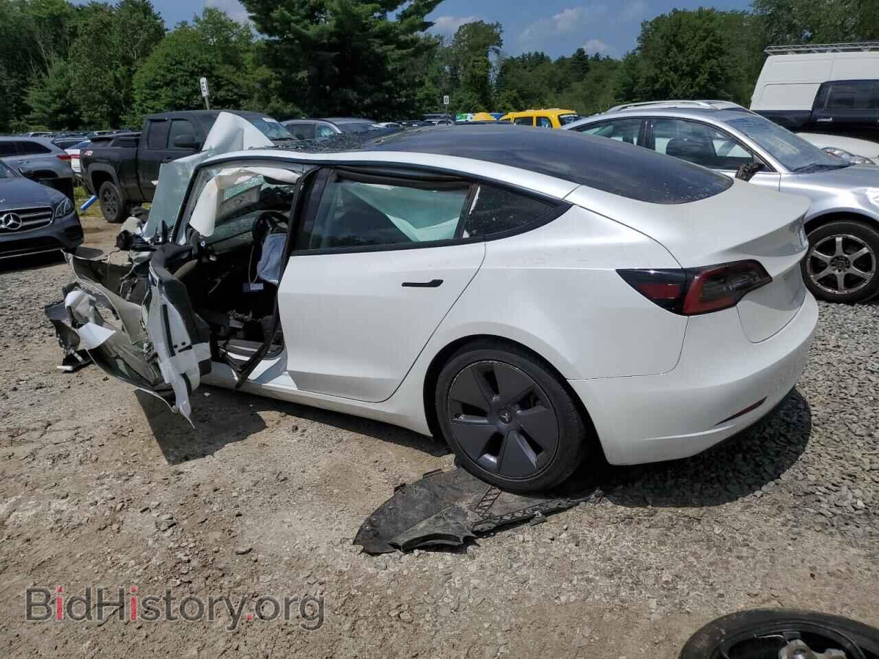2023 TESLA MODEL 3 - VIN: 5YJ3E1EA3PF482254 - Photo 2