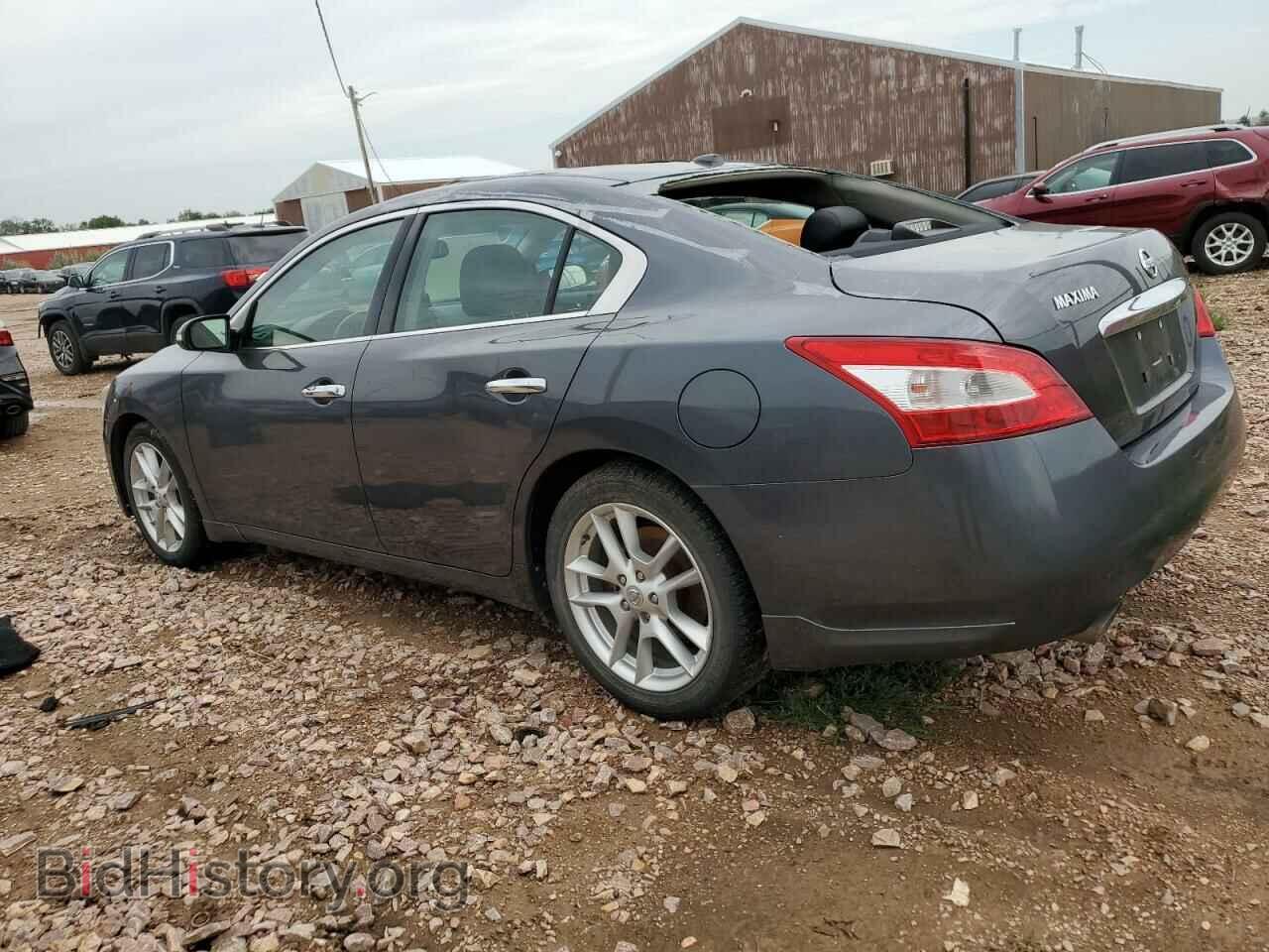 2009 NISSAN MAXIMA - VIN: 1N4AA51E89C814200 - Фото 2