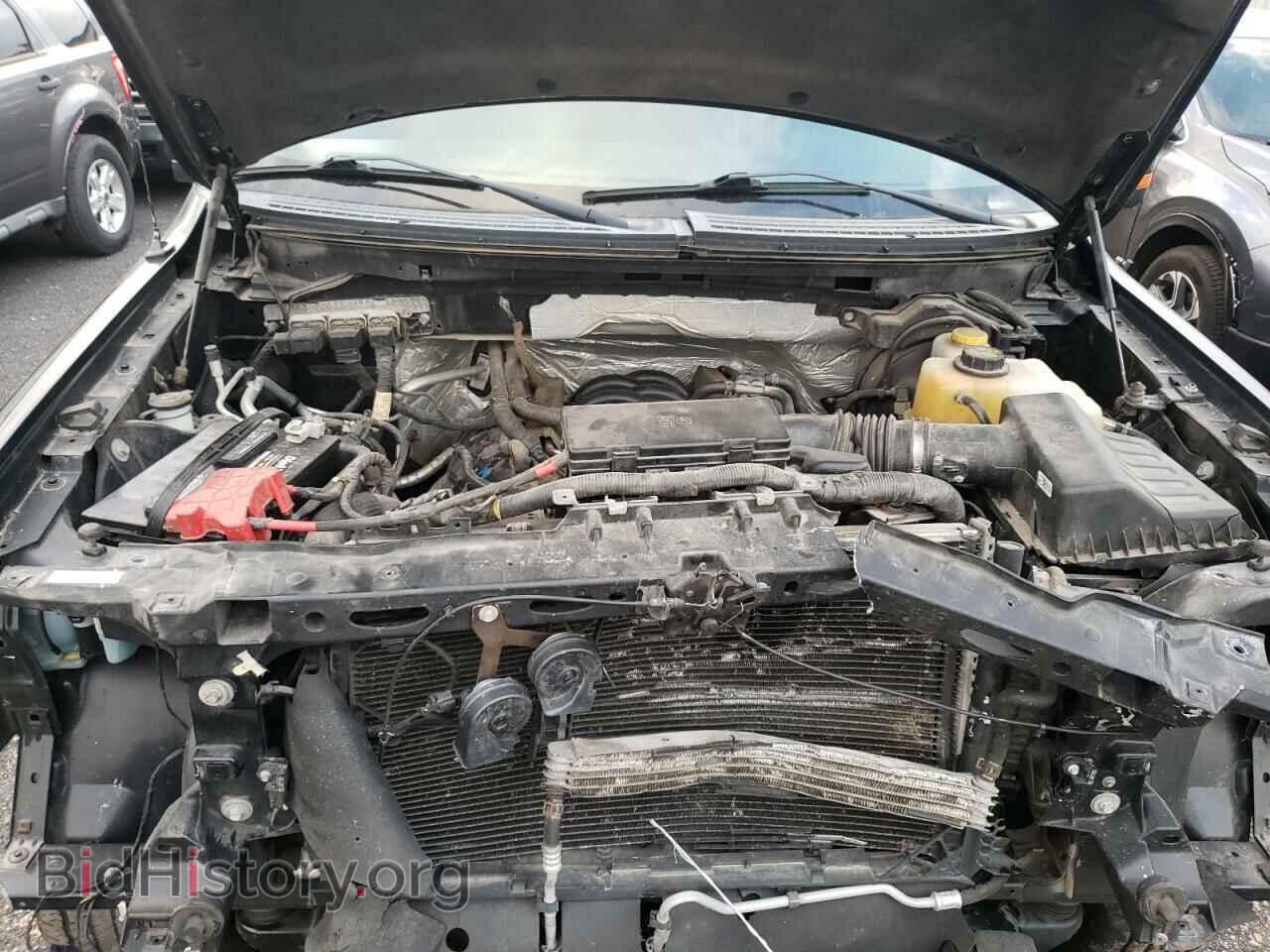 2014 FORD F-150 - VIN: 1FTFX1EF2EFB45831 - Фото 7