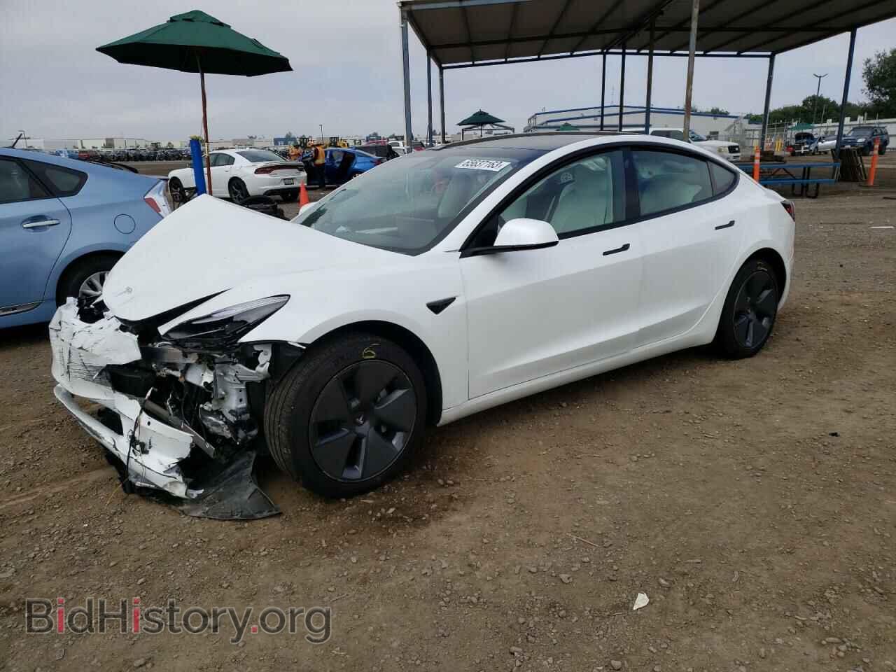 Photo 5YJ3E1EBXNF136577 - TESLA MODEL 3 2022