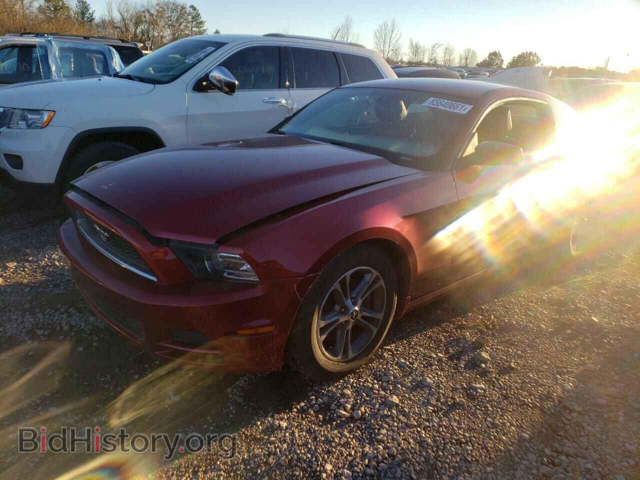 2014 FORD MUSTANG - VIN: 1ZVBP8AM3E5265006 - Фото 2