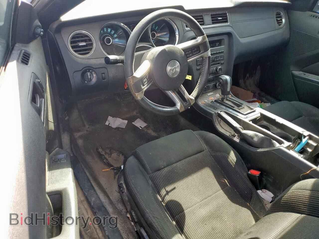 2013 FORD ALL Models - VIN: 1ZVBP8AM8D5279157 - Фото 8
