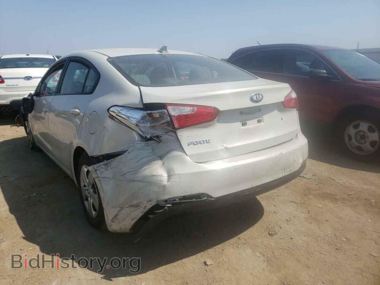 2014 KIA FORTE - VIN: KNAFK4A68E5141551 - Фото 2