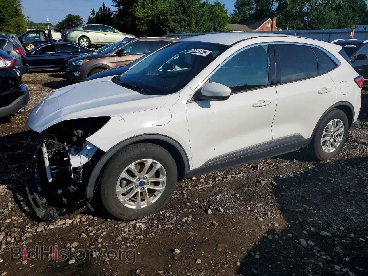 Фотография 1FMCU0G67LUA48079 - FORD ESCAPE 2020