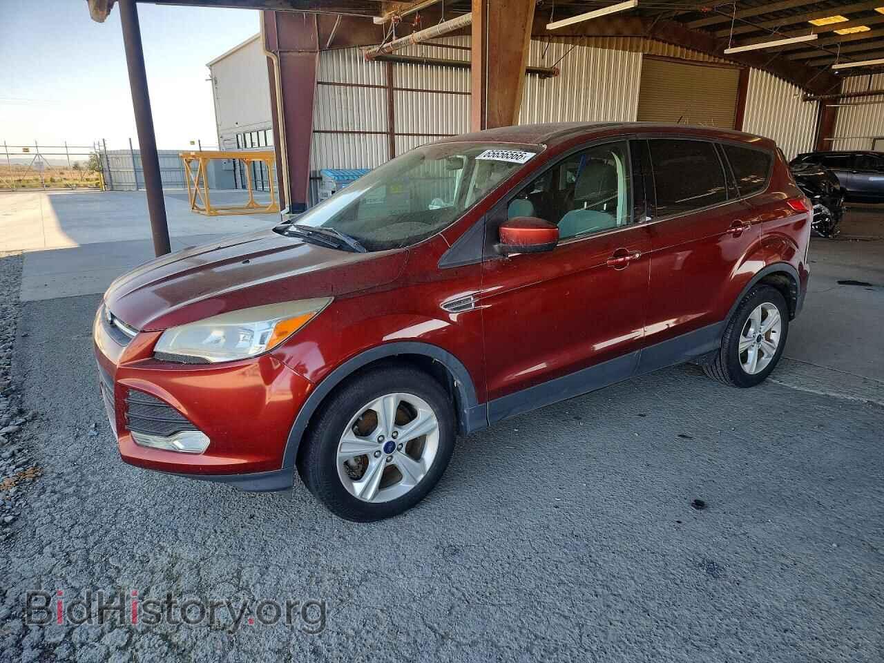 Фотография 1FMCU0GX4EUC46002 - FORD ESCAPE 2014