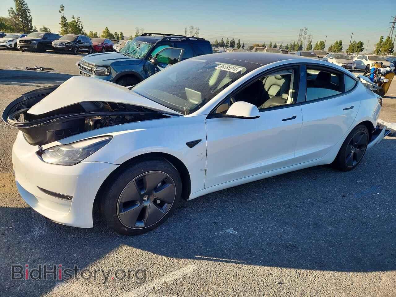 Фотография 5YJ3E1EA5PF598183 - TESLA MODEL 3 2023