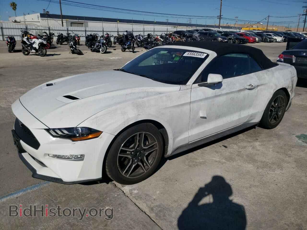 Фотография 1FATP8UH0K5181684 - FORD ALL Models 2019