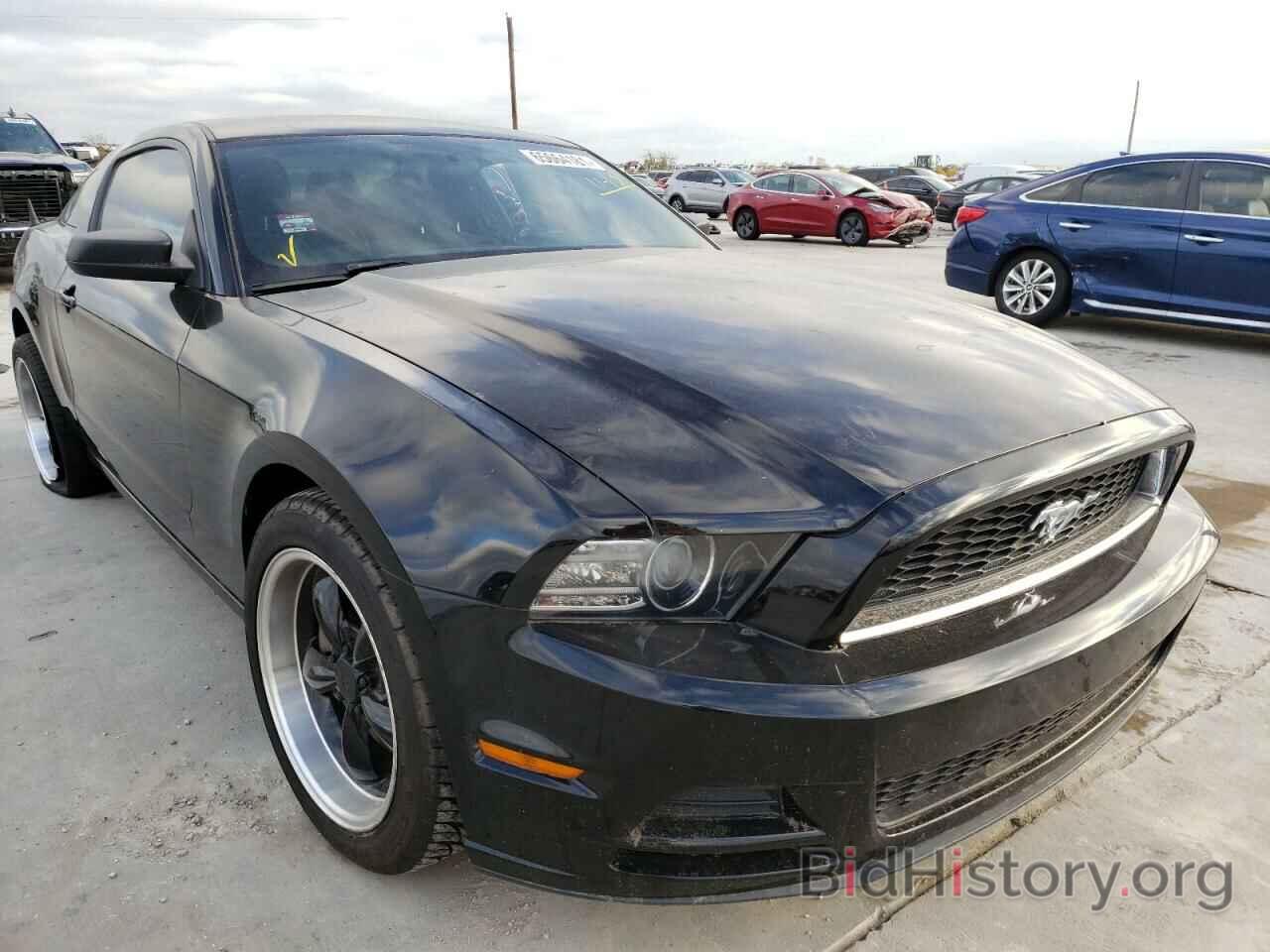 Photo 1ZVBP8AM5D5259027 - FORD MUSTANG 2013