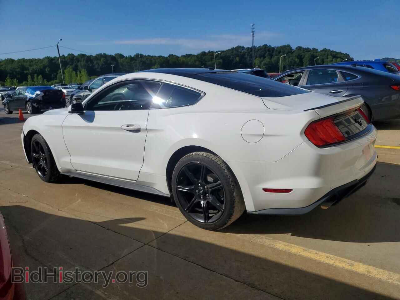 2019 FORD MUSTANG - VIN: 1FA6P8TH7K5123232 - Photo 2
