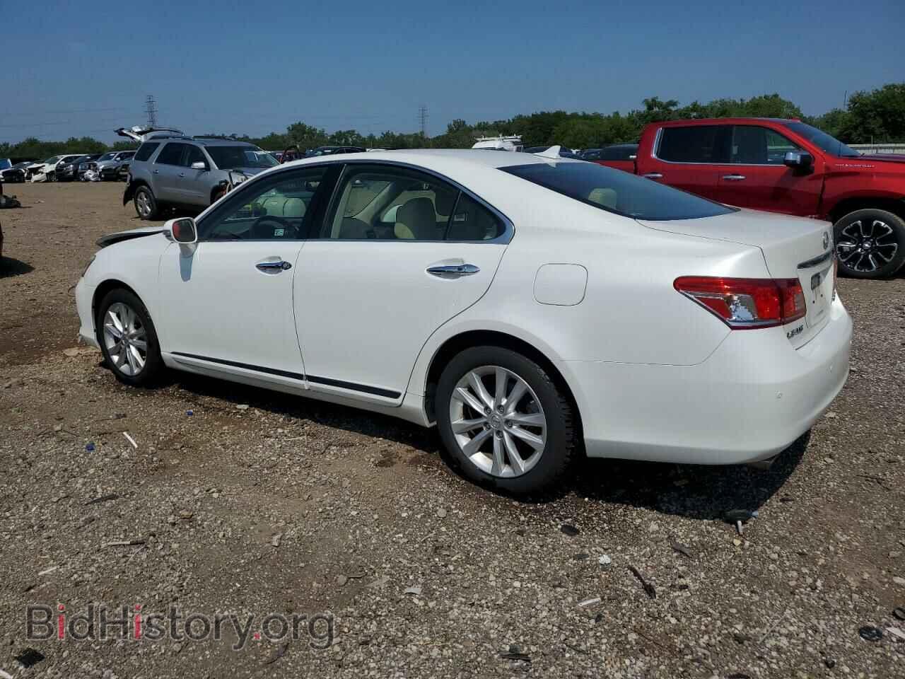 2010 LEXUS ES350 - VIN: JTHBK1EG3A2378168 - Фото 2