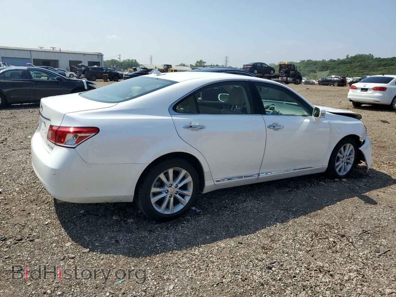 2010 LEXUS ES350 - VIN: JTHBK1EG3A2378168 - Фото 3