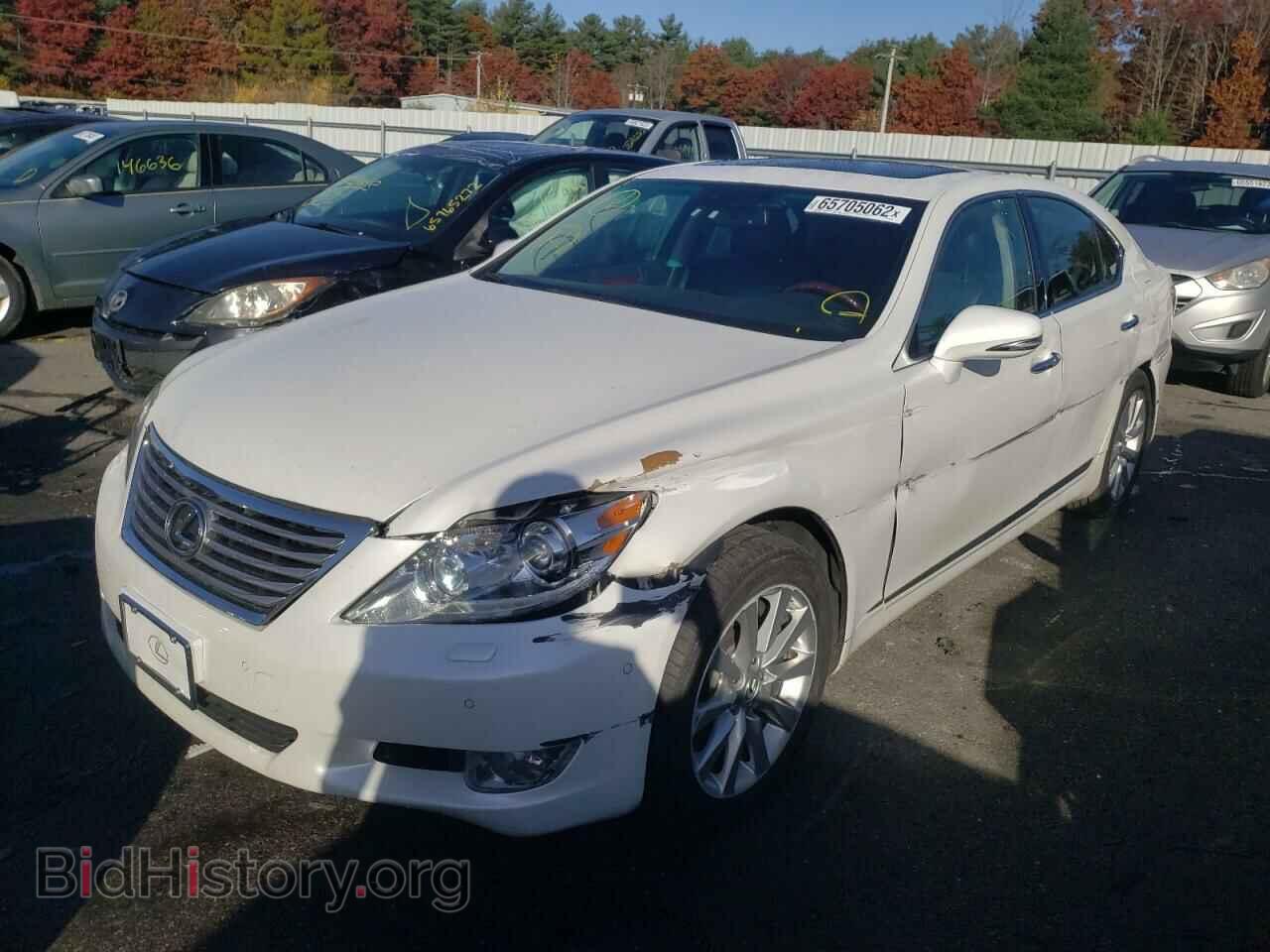 2010 LEXUS LS460 - VIN: JTHCL5EF4A5008412 - Фото 2