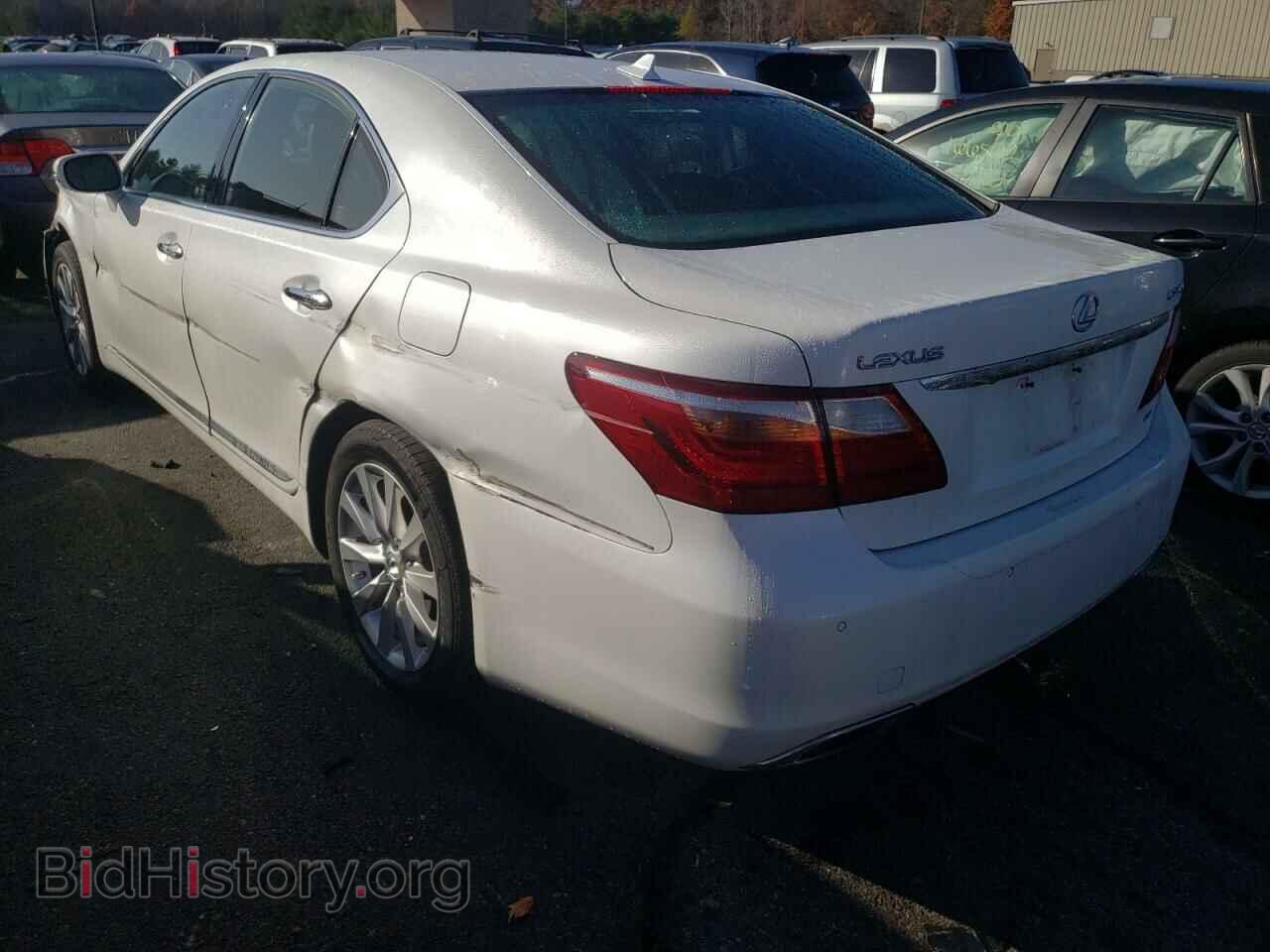 2010 LEXUS LS460 - VIN: JTHCL5EF4A5008412 - Фото 3