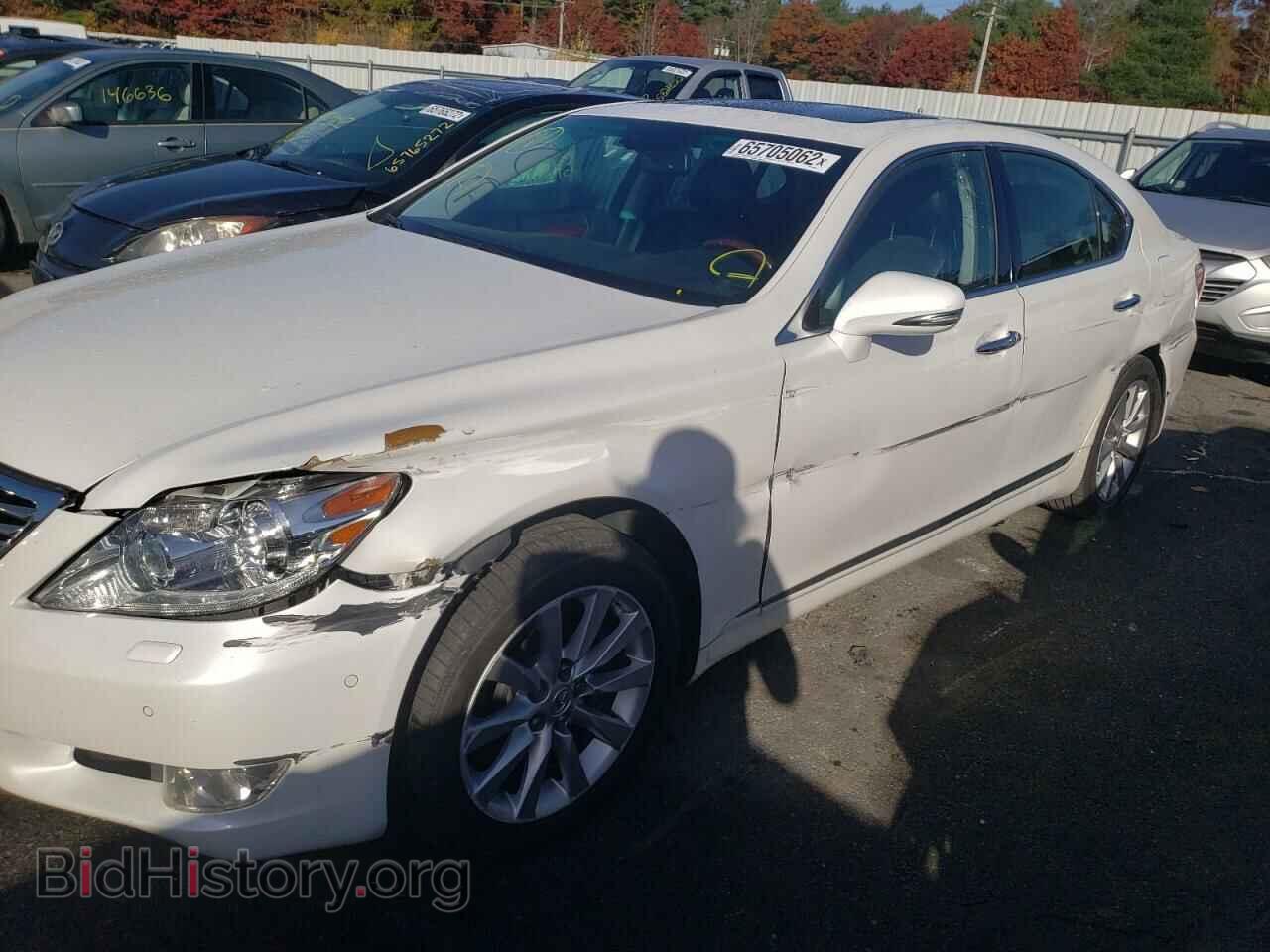 2010 LEXUS LS460 - VIN: JTHCL5EF4A5008412 - Фото 9