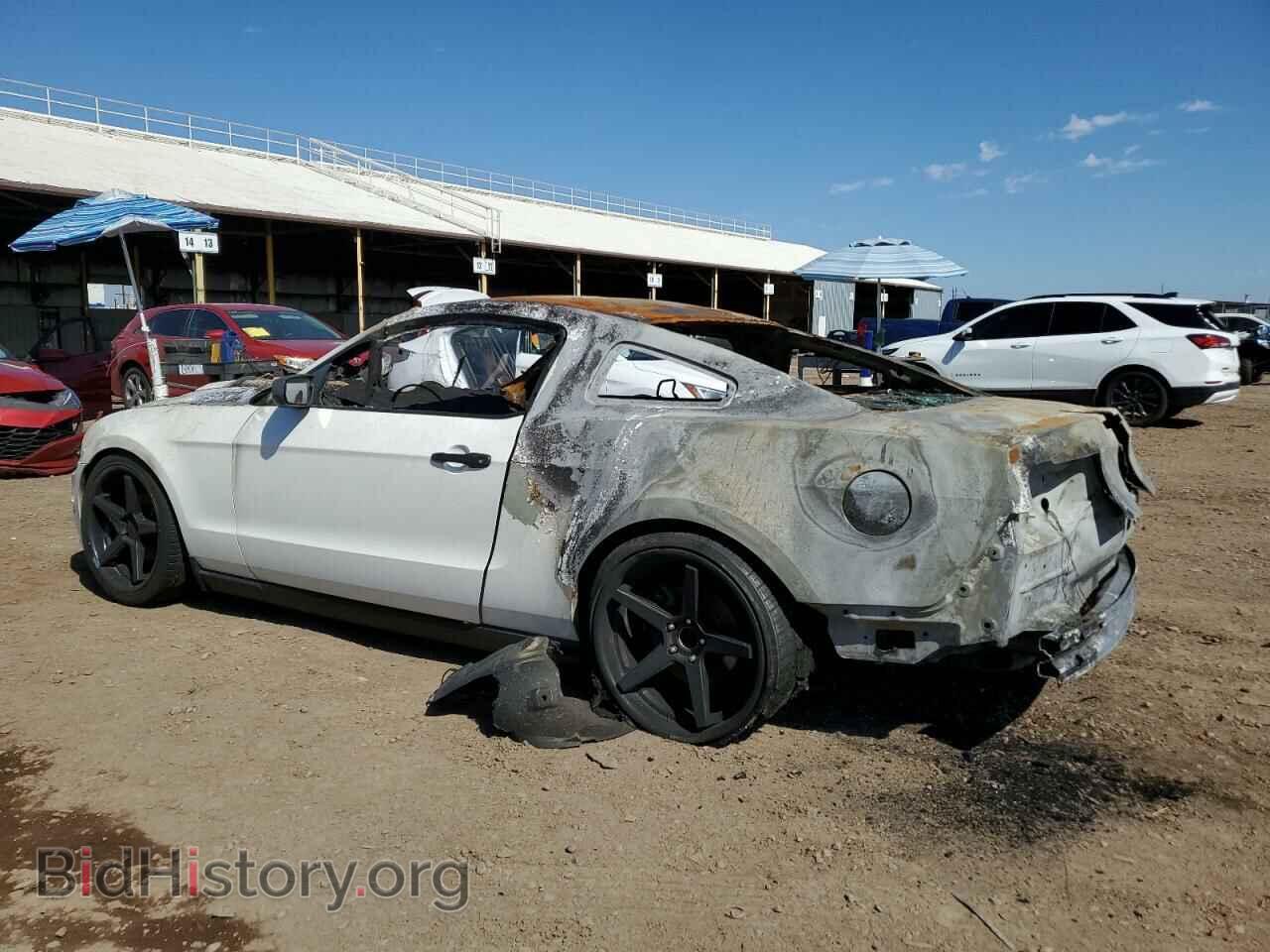 2010 FORD ALL Models - VIN: 1ZVBP8AN4A5117384 - Фото 2