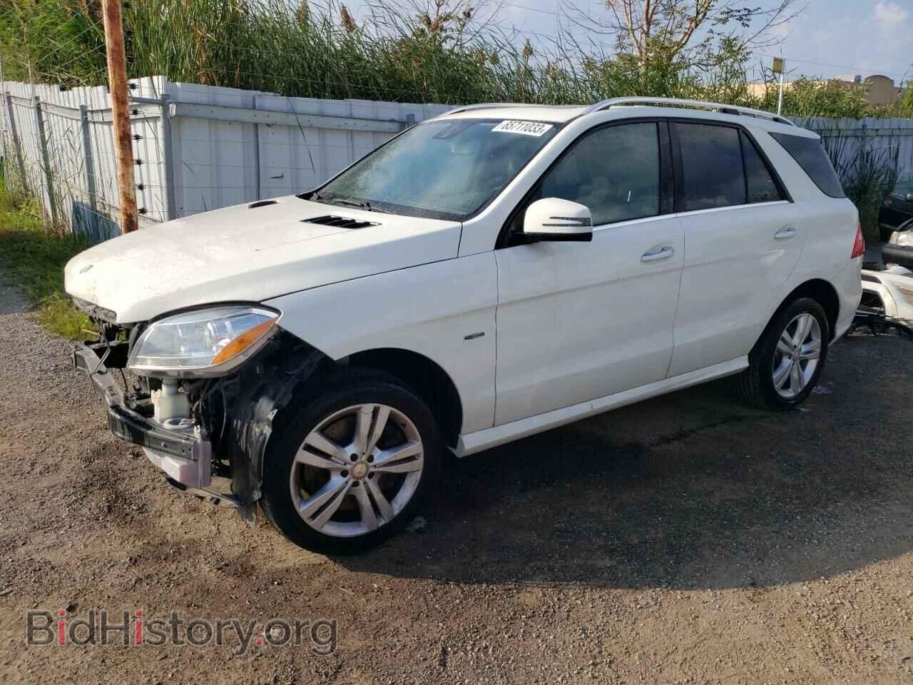 Photo 4JGDA5HB4CA089955 - MERCEDES-BENZ M-CLASS 2012