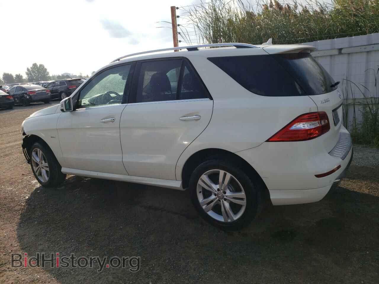 2012 MERCEDES-BENZ M-CLASS - VIN: 4JGDA5HB4CA089955 - Фото 2