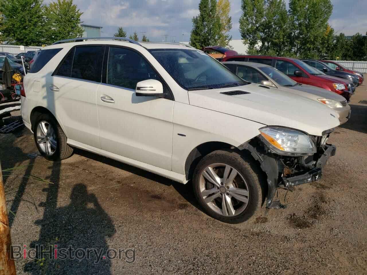 2012 MERCEDES-BENZ M-CLASS - VIN: 4JGDA5HB4CA089955 - Фото 4