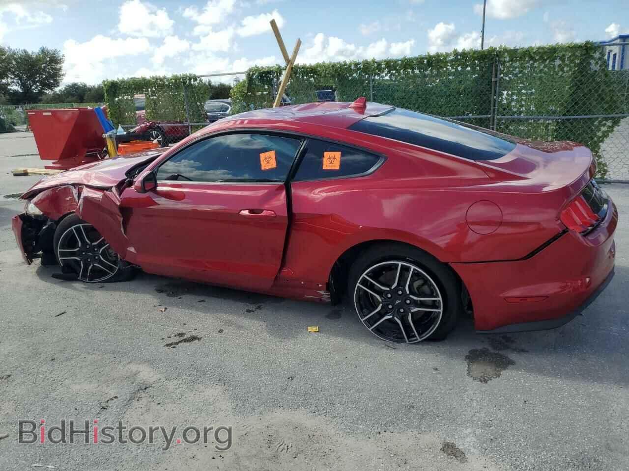 2021 FORD ALL Models - VIN: 1FA6P8TH8M5154167 - Photo 2