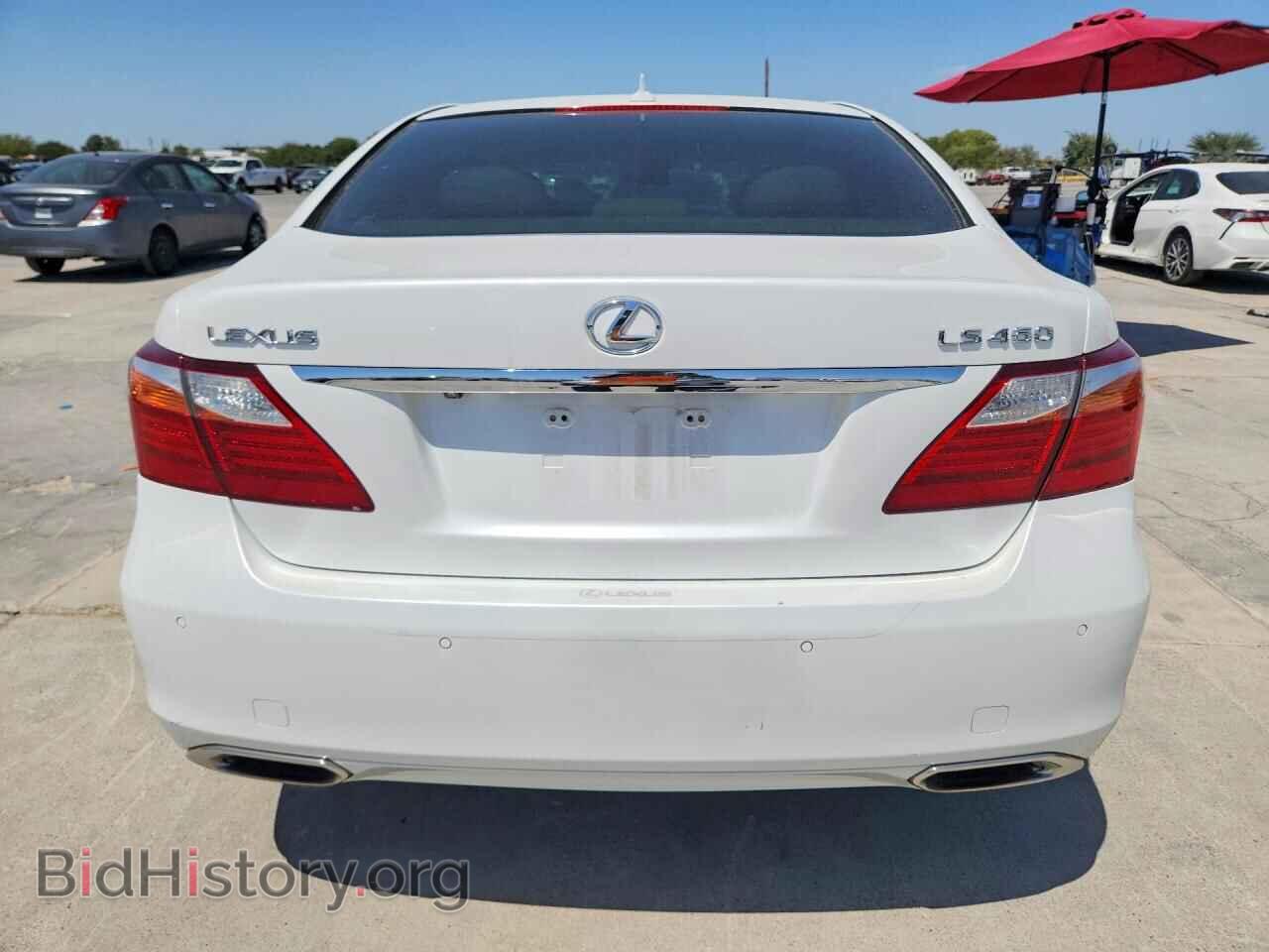 2010 LEXUS LS460 - VIN: JTHBL5EF8A5093475 - Фото 6