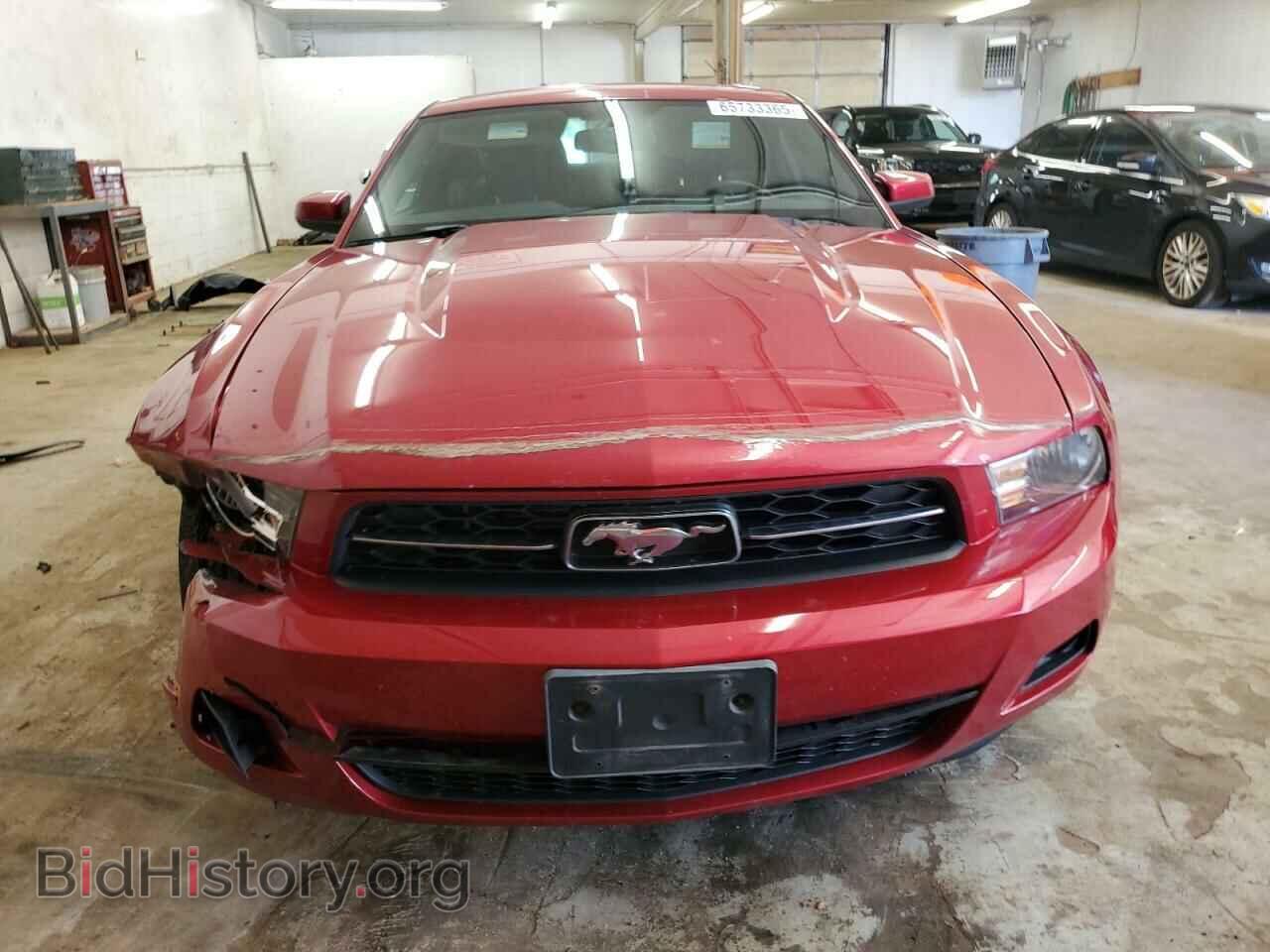 2011 FORD ALL Models - VIN: 1ZVBP8AM0B5147717 - Фото 5