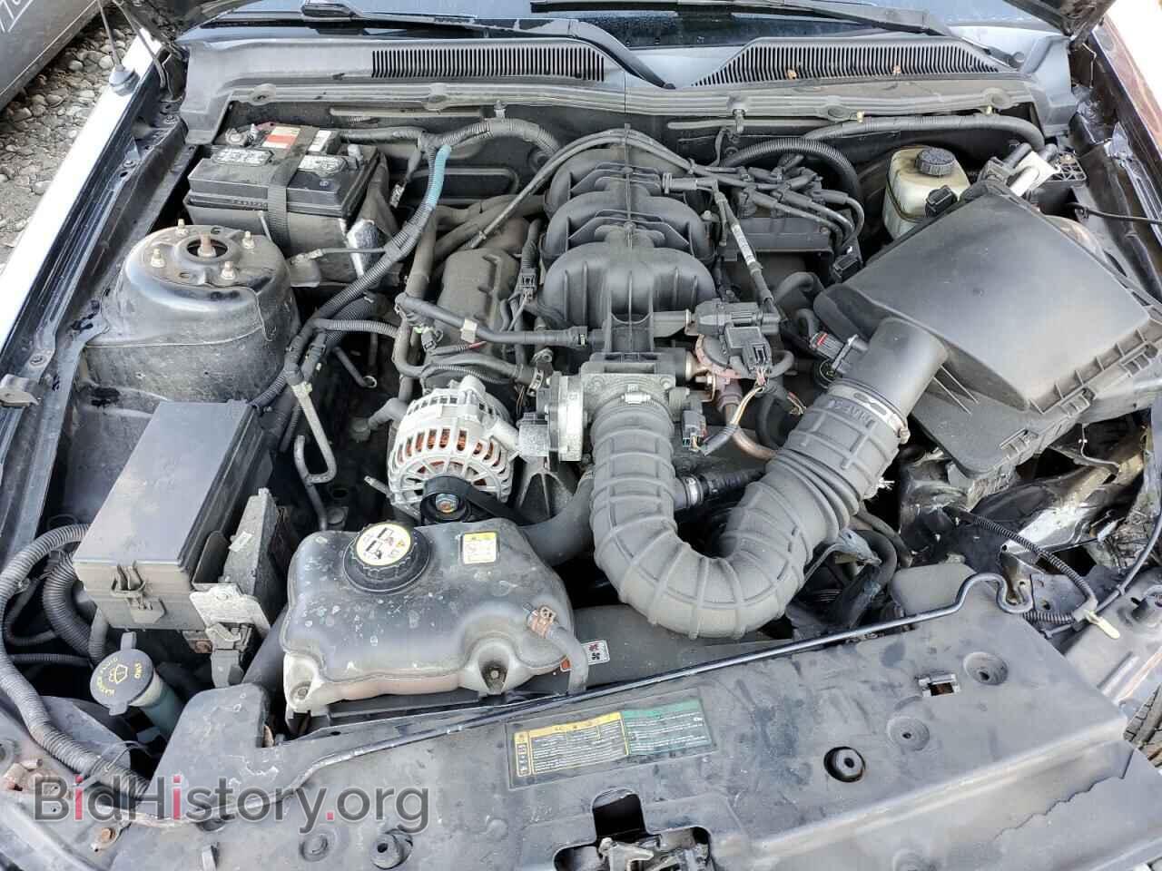 2008 FORD MUSTANG - VIN: 1ZVHT80N185156161 - Фото 7