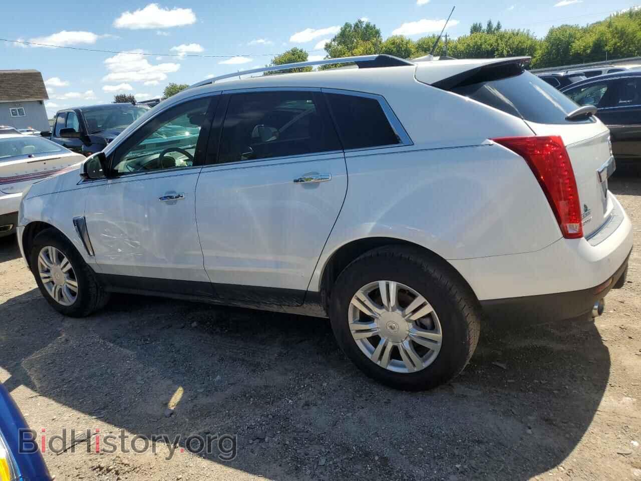 2013 CADILLAC SRX - VIN: 3GYFNCE32DS655835 - Фото 2