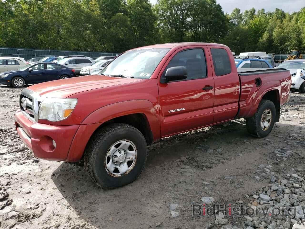 Photo 5TEUU42N87Z467361 - TOYOTA TACOMA 2007