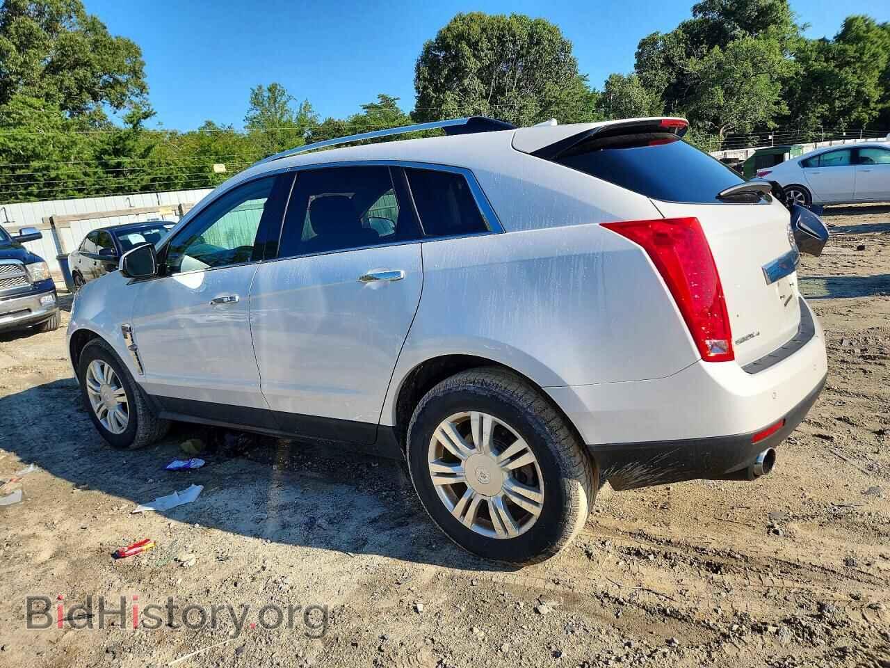 2011 CADILLAC SRX - VIN: 3GYFNDEY6BS545918 - Фото 2
