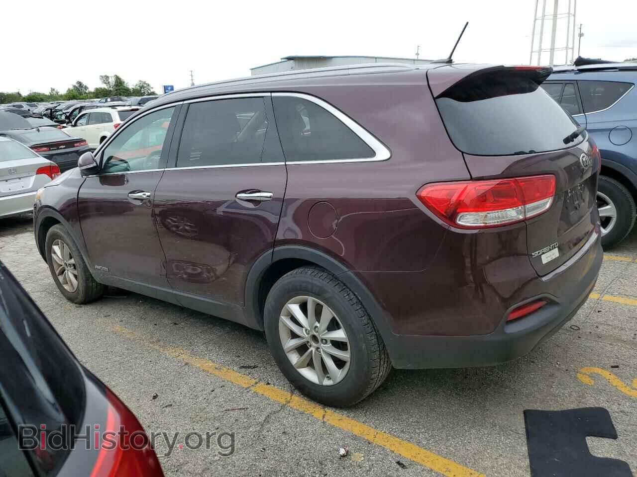 2017 KIA SORENTO - VIN: 5XYPGDA52HG333530 - Фото 2