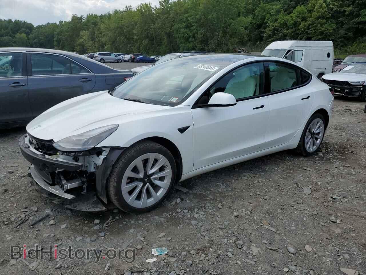 Photo 5YJ3E1EA0PF417541 - TESLA MODEL 3 2023