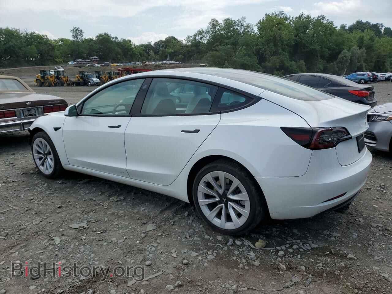 2023 TESLA MODEL 3 - VIN: 5YJ3E1EA0PF417541 - Фото 2