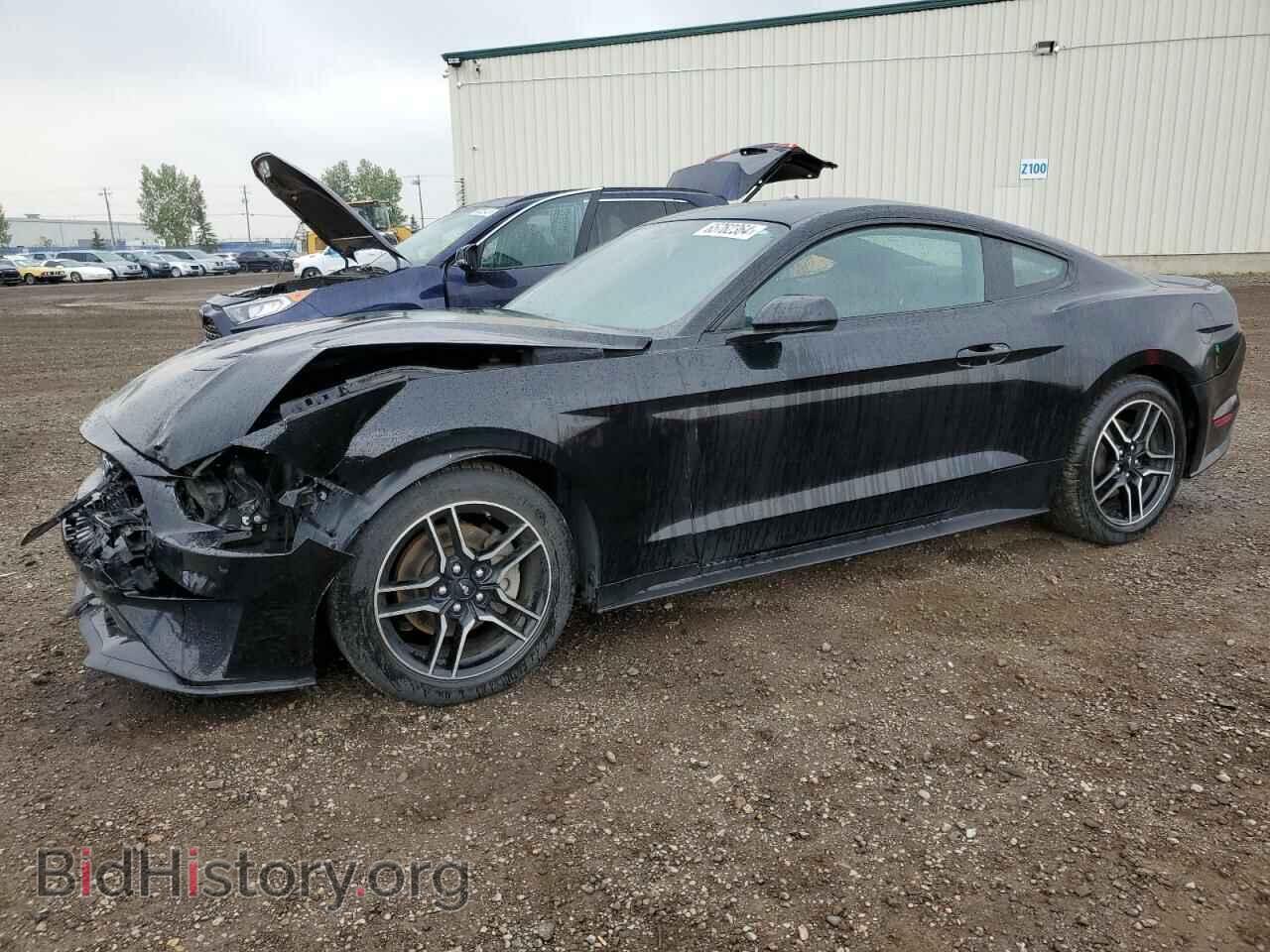 Фотография 1FA6P8TH0K5176094 - FORD ALL Models 2019