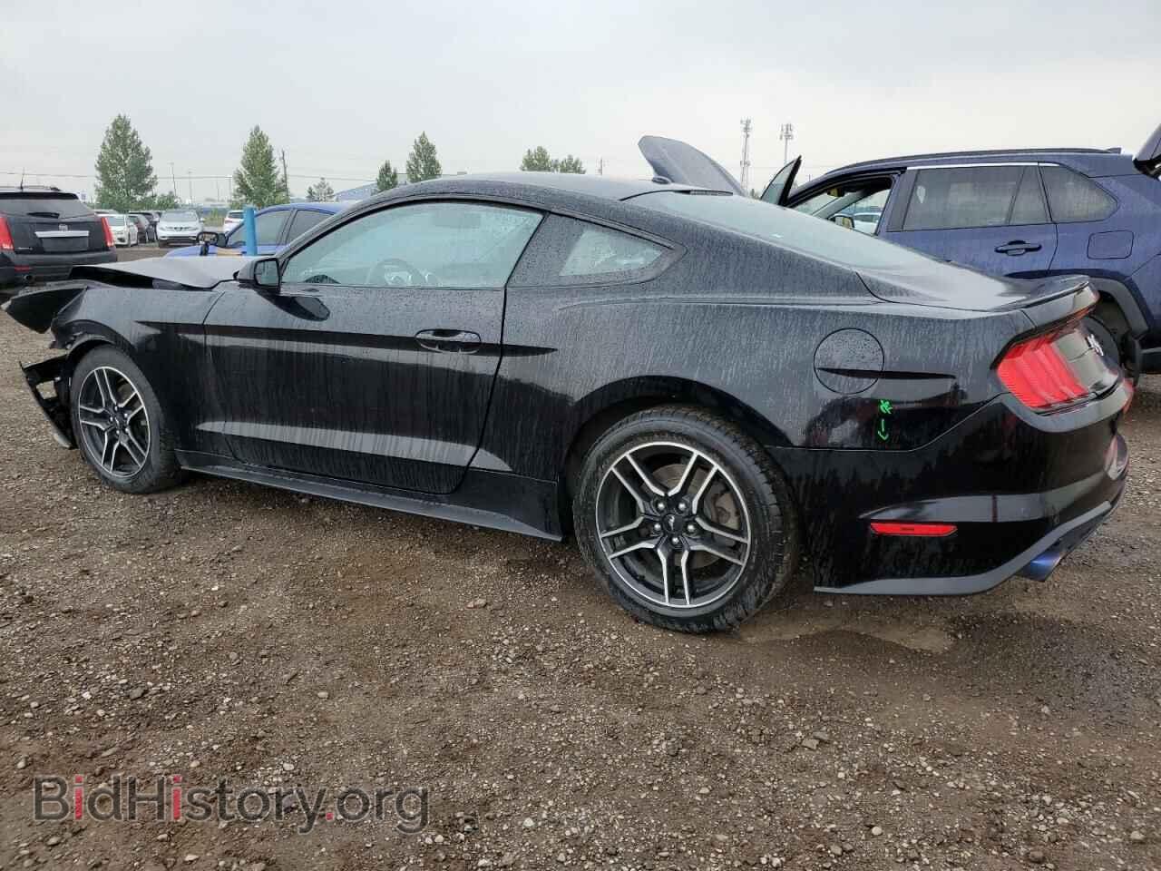 2019 FORD ALL Models - VIN: 1FA6P8TH0K5176094 - Фото 2