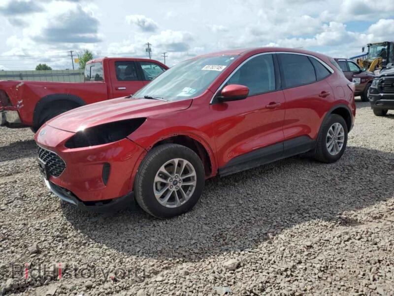 2020 Ford ESCAPE SE (VIN 1FMCU9G69LUA04590) — фото 1 из 13, Copart, повреждение: передняя часть