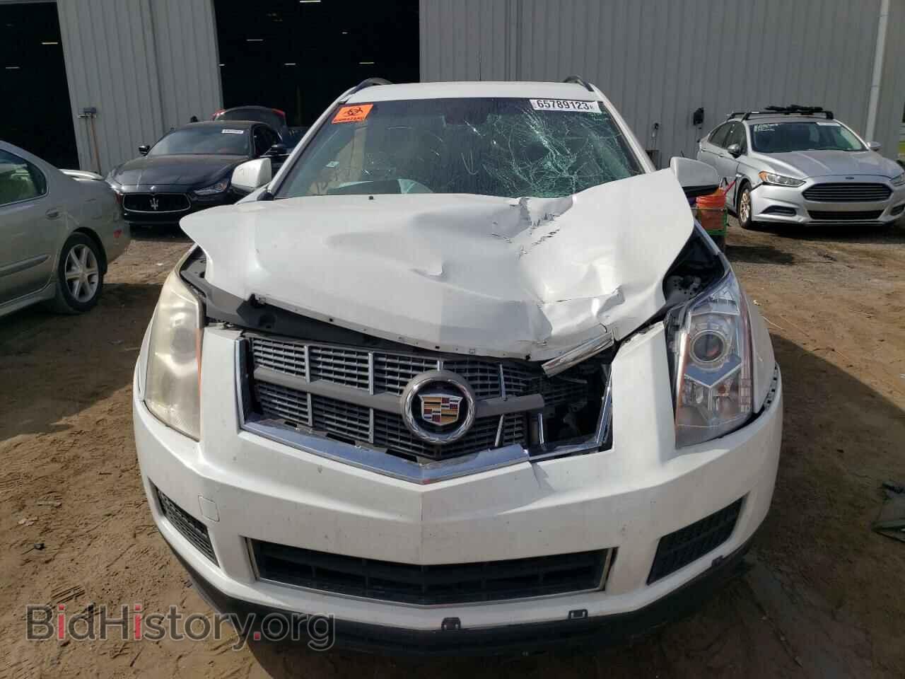 2011 CADILLAC SRX - VIN: 3GYFNGEY8BS611774 - Фото 5