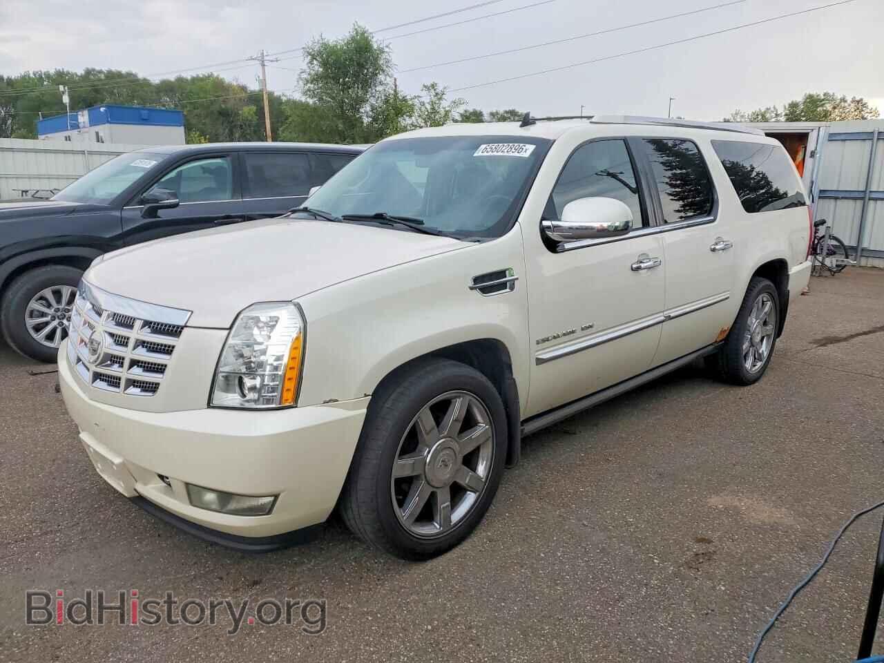 Photo 1GYS4JEF1BR159392 - CADILLAC ESCALADE 2011