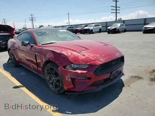 2019 FORD ALL Models - VIN: 1FA6P8TH0K5193199 - Фото 13
