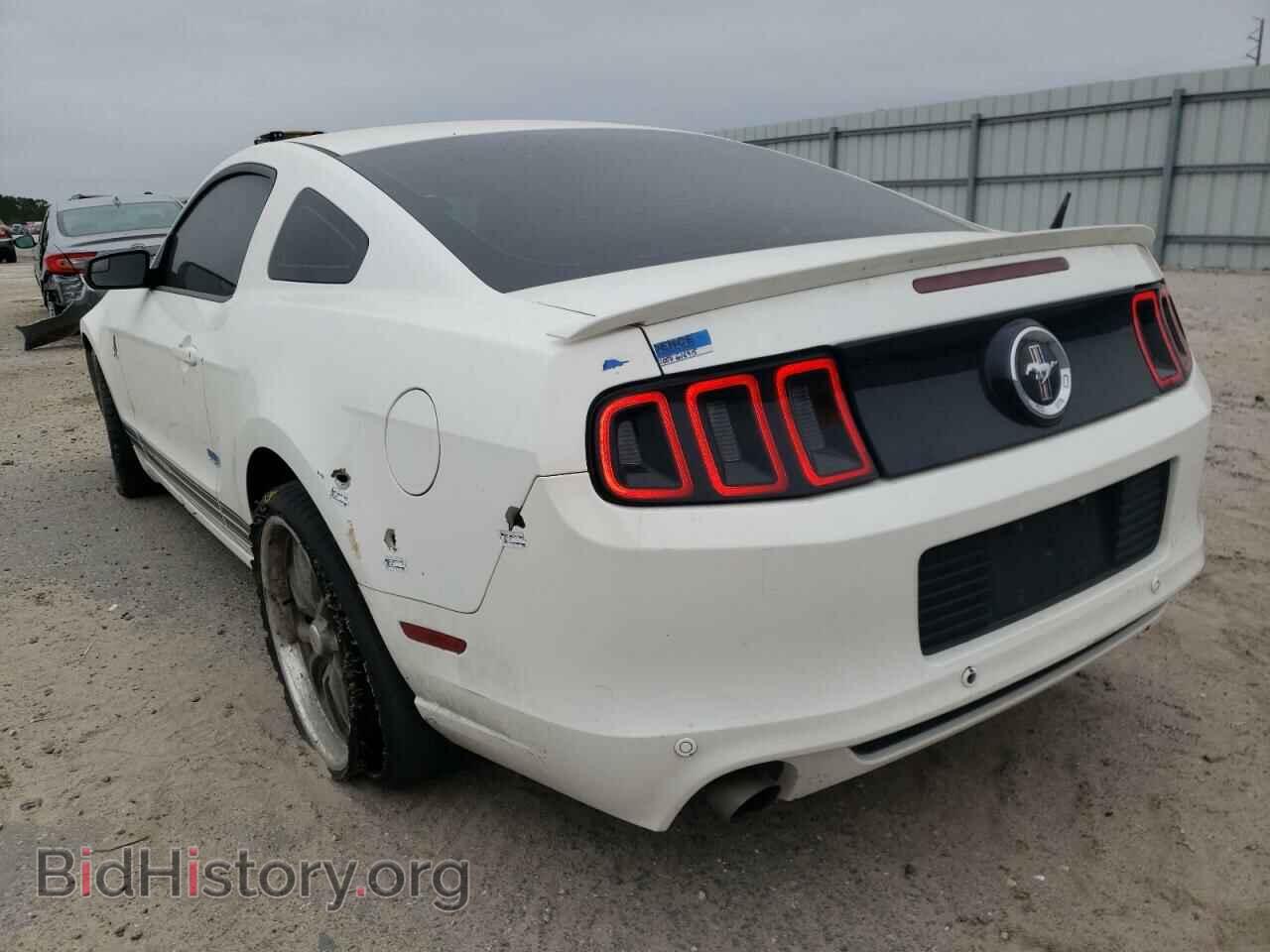 2013 FORD MUSTANG - VIN: 1ZVBP8AM1D5207555 - Фото 3