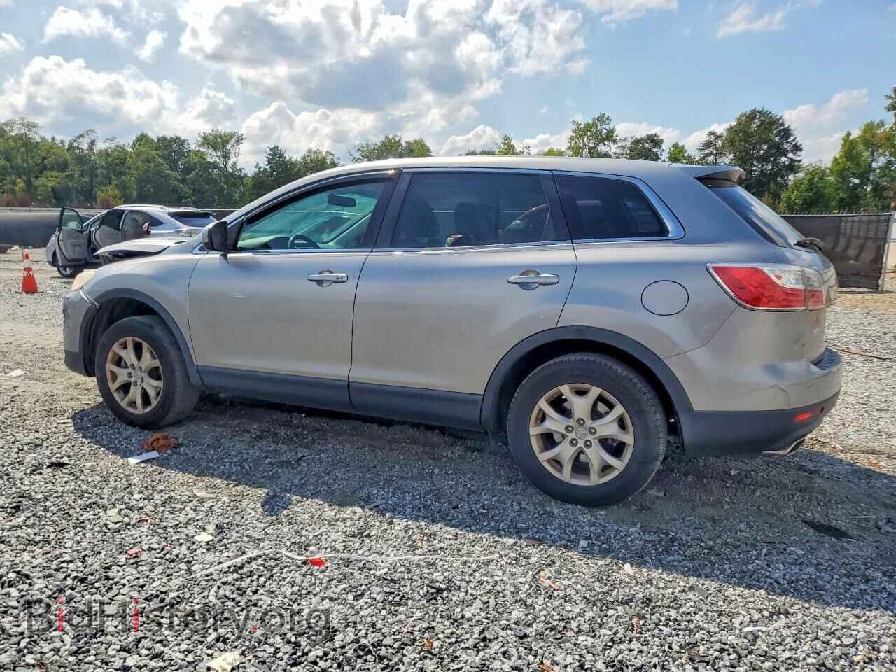 2011 MAZDA CX-9 - VIN: JM3TB2CA3B0303078 - Photo 2