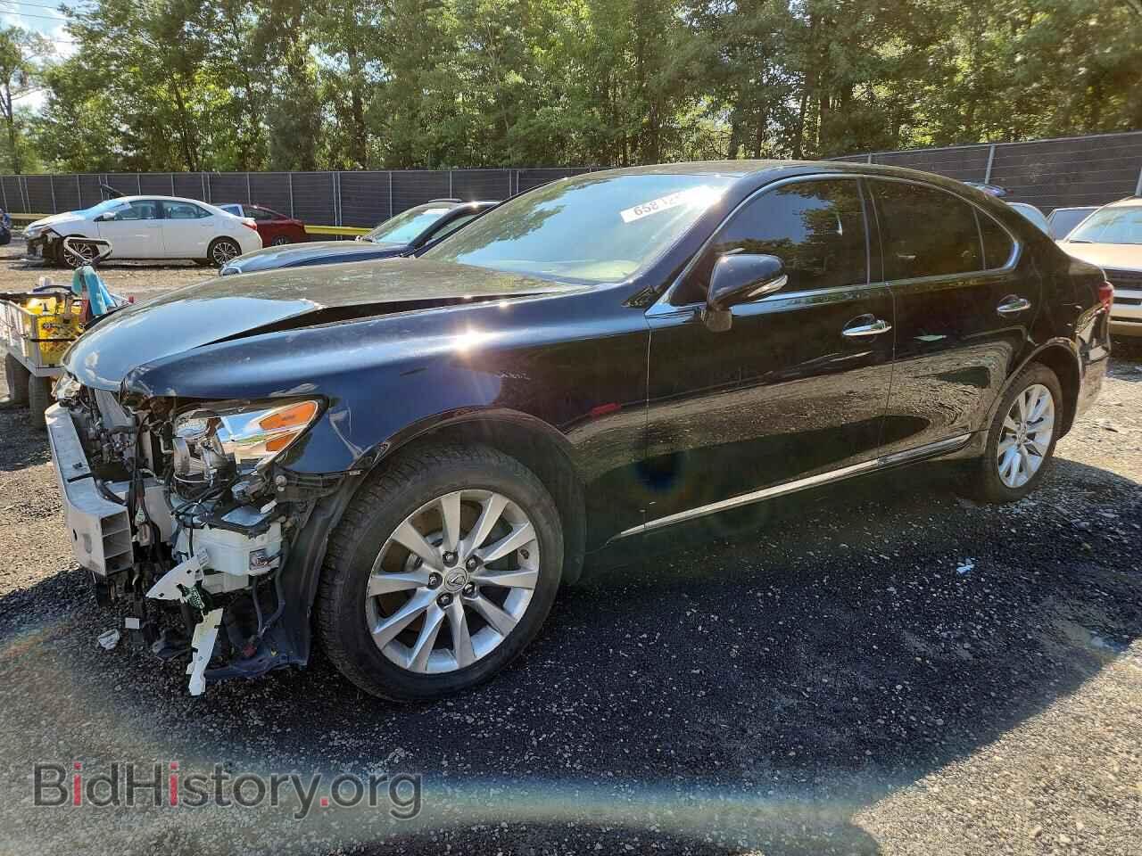 Фотография JTHCL5EF3A5005579 - LEXUS LS460 2010