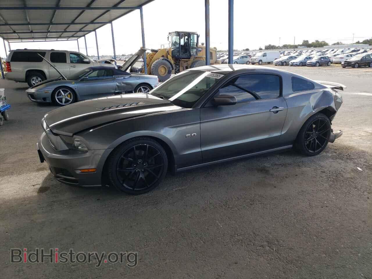 Фотография 1ZVBP8CF8D5269596 - FORD MUSTANG 2013